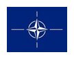 NATO flag